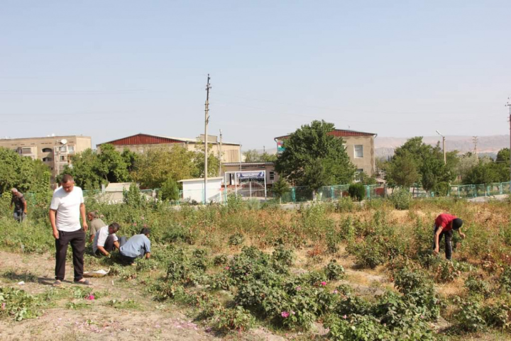 Continuation of creative work on environmental protection in the city of Isfara