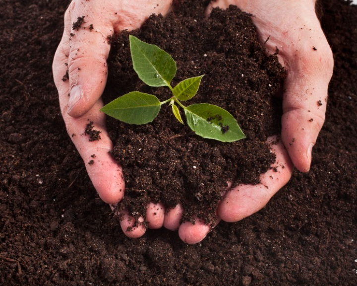 EVENT DEDICATED TO INTERNATIONAL SOIL DAY