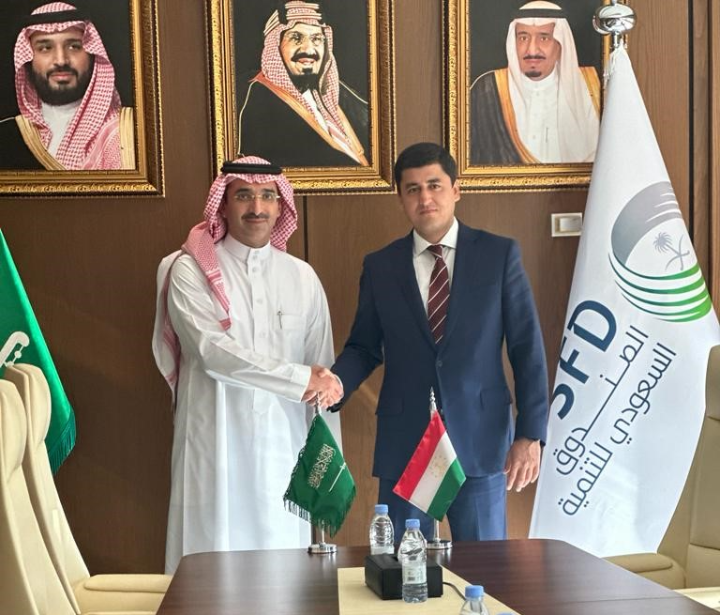 Meeting of the CEP Chairman with the Director of the Saudi Fund for Development 