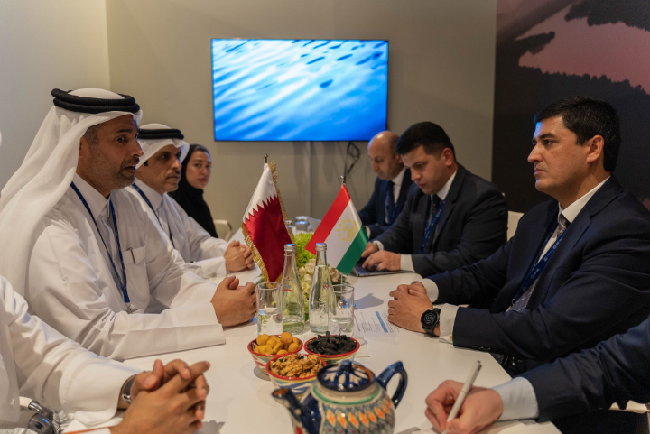 Meeting of the Chairman of the Environment Committee with the Minister of Environment and Climate Change of Qatar at the UNFCCC COP28