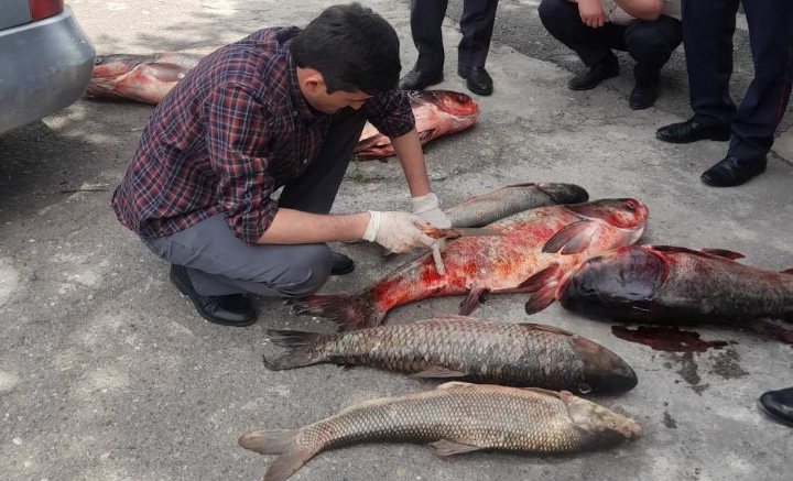 A raid on the protection of fish resources was carried out