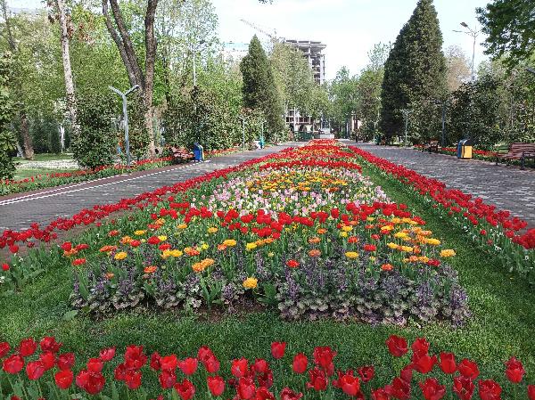 Душанбе – город цветов