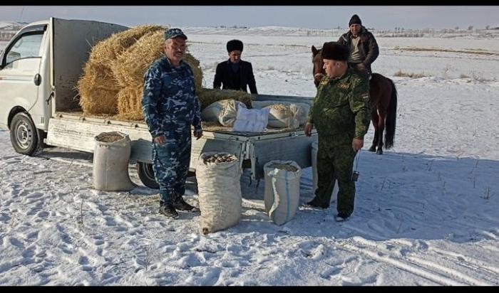 Biotechnical work in the highlands of Devashtich district