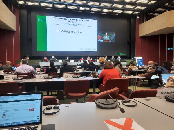 Participation and statement of the Delegation of Tajikistan in the Plenary Session of the Subsidiary Body on Implementation (SBI-3) in Geneva, Switzerland