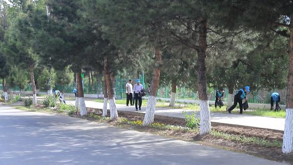 В рамках Плана-мероприятий Комитета по охране окружающей 