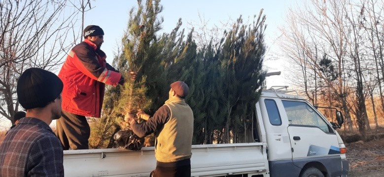 Planting seedlings, landscaping and improving the environment  in Shahrituz district of Khatlon region