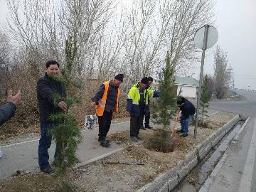 Маъракаи ниҳолшинонӣ ва бартараф намудани партовҳои бесоҳиб дар ноҳияи Ҷаббор Расулов