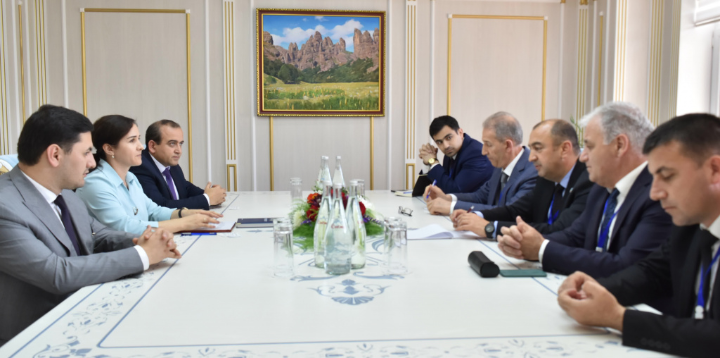 Meeting of the First Deputy Chairman of the Committee with the delegation of the Republic of Azerbaijan