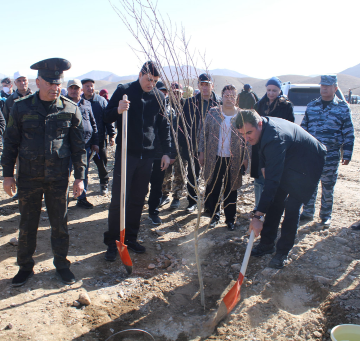 Laying a cultural and recreational park on an area of 2 hectares in the Murghab district