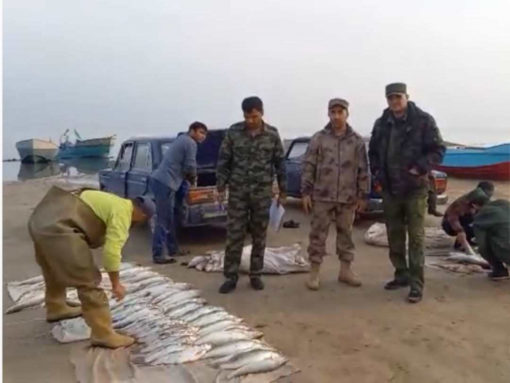 Control work on the protection of fish resources in the Tajik Sea reservoir