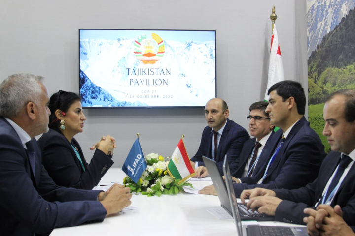 Meeting of Sheralizoda Bahadur with Mrs. Dina Saleh under the framework of the 27th Conference of the Parties on Climate Change