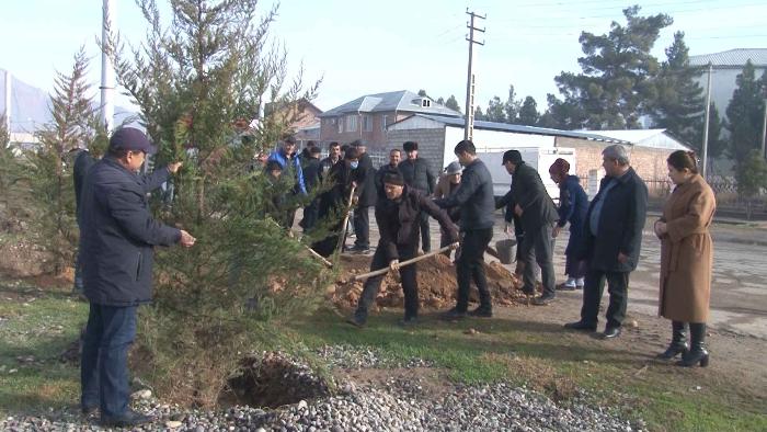 Посадка деревев в г. Левакант Хатлонской области