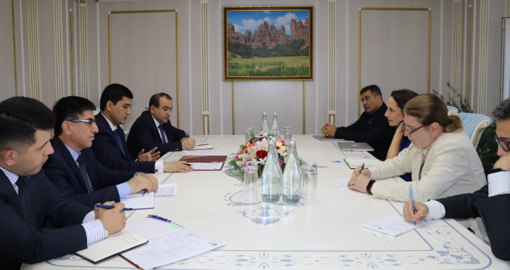 Meeting of the Chairman of the Committee with the delegation of the Asian Development Bank