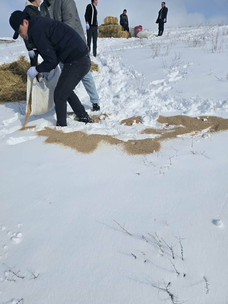 изображение_viber_2025-02-26_13-43-43-453.jpg