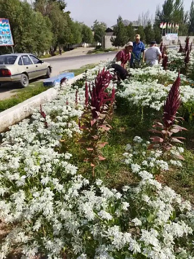 Environmental actions in the city of Vahdat
